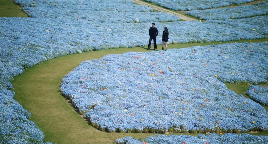 跟着《轧戏》在上海轧马路,一起打卡心动地图!