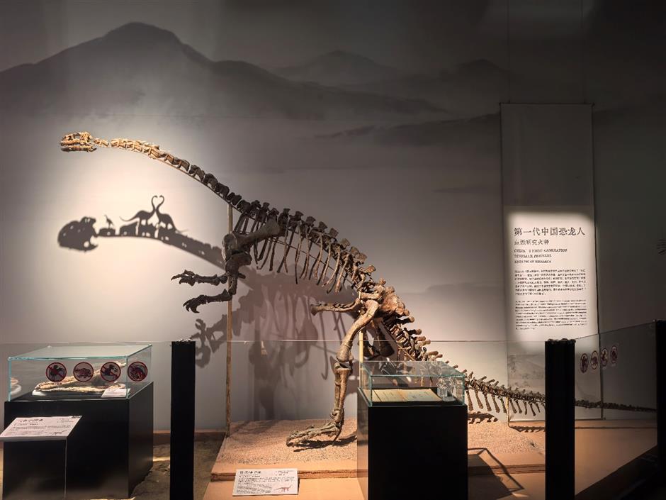 收藏!上海博物馆春节观展攻略|旅选上海,超级新春