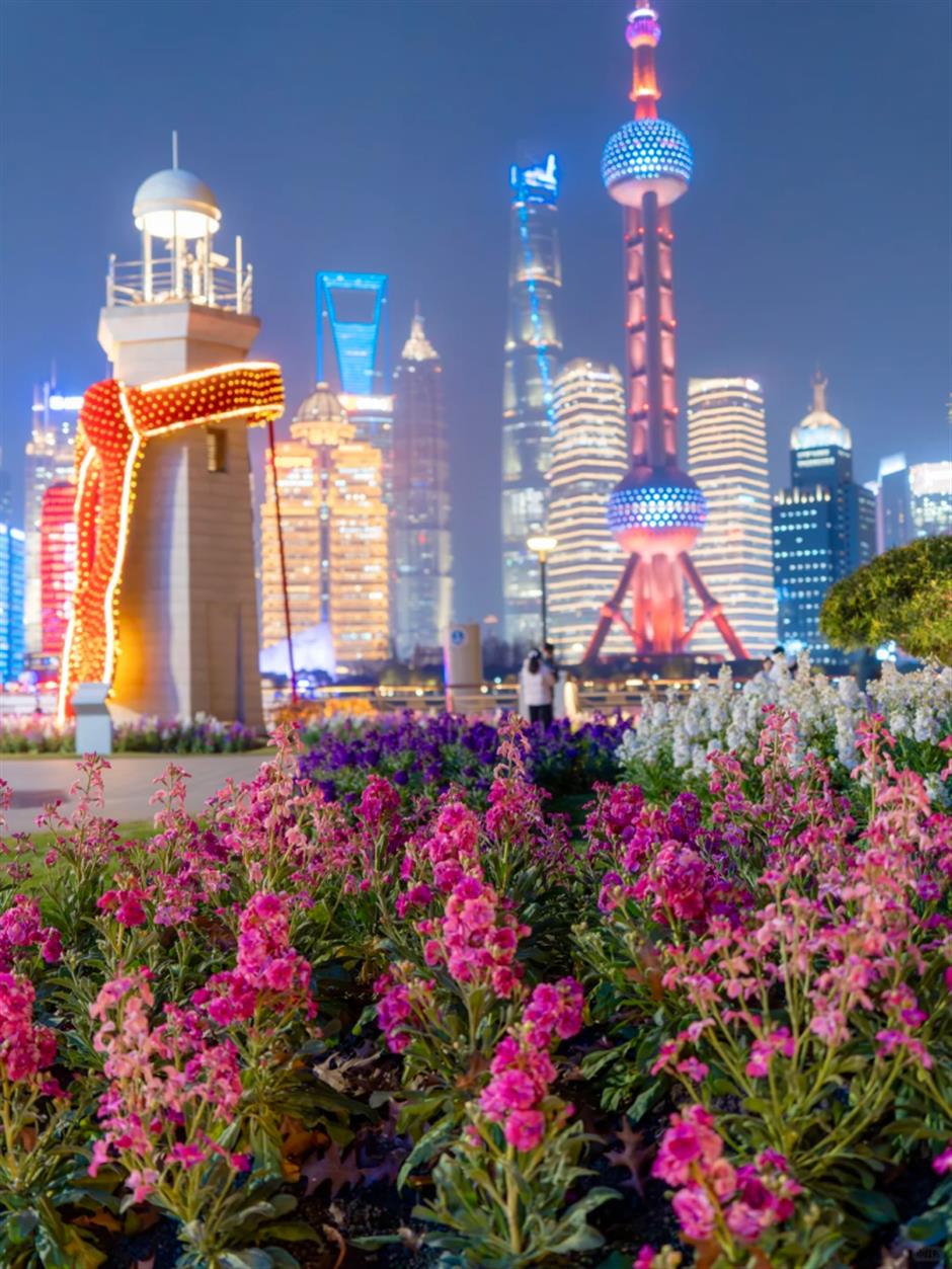 14000株紫罗兰花开成海、首个浦江冰场……魔都冬日顶流