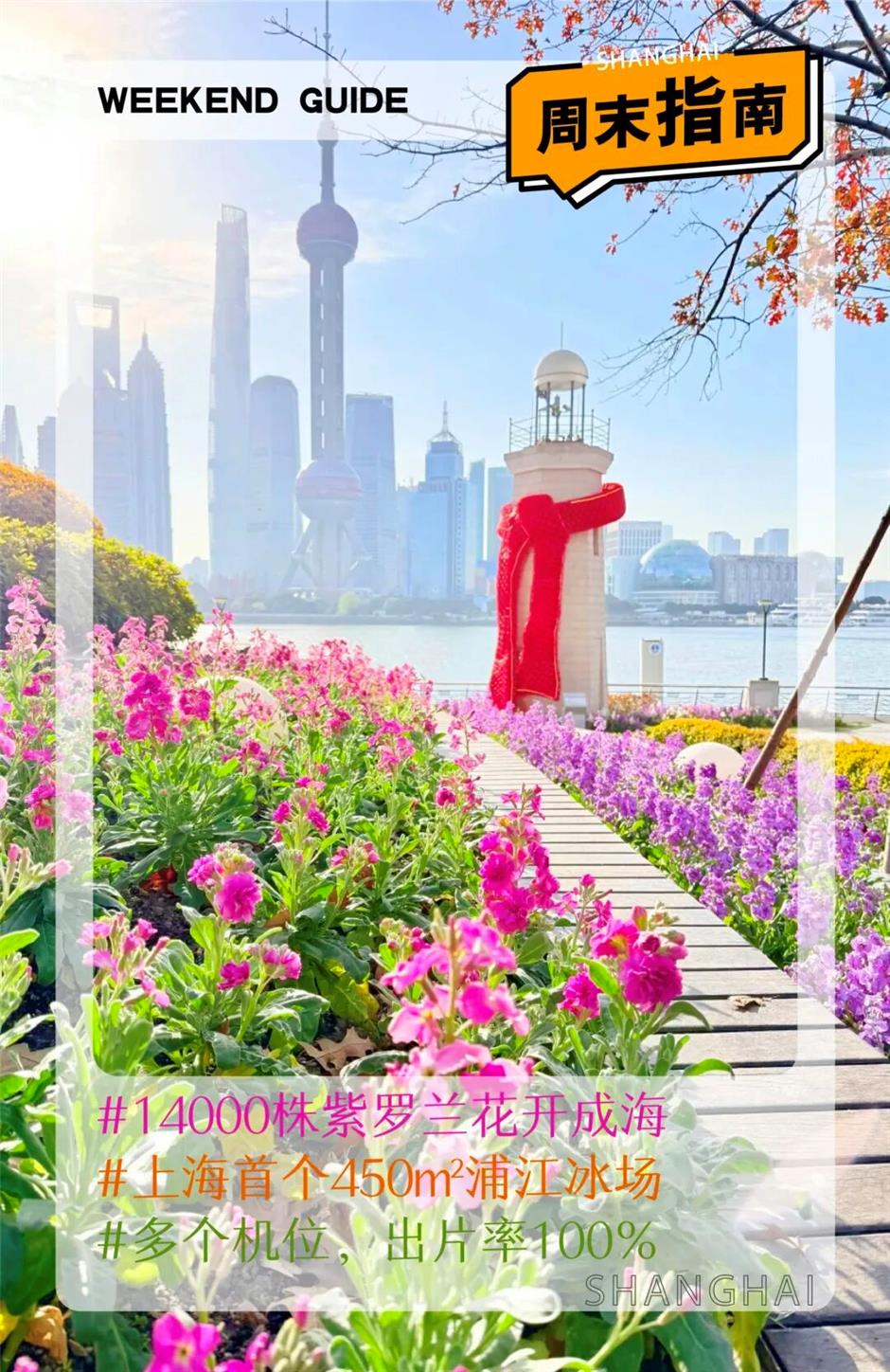 14000株紫罗兰花开成海、首个浦江冰场……魔都冬日顶流