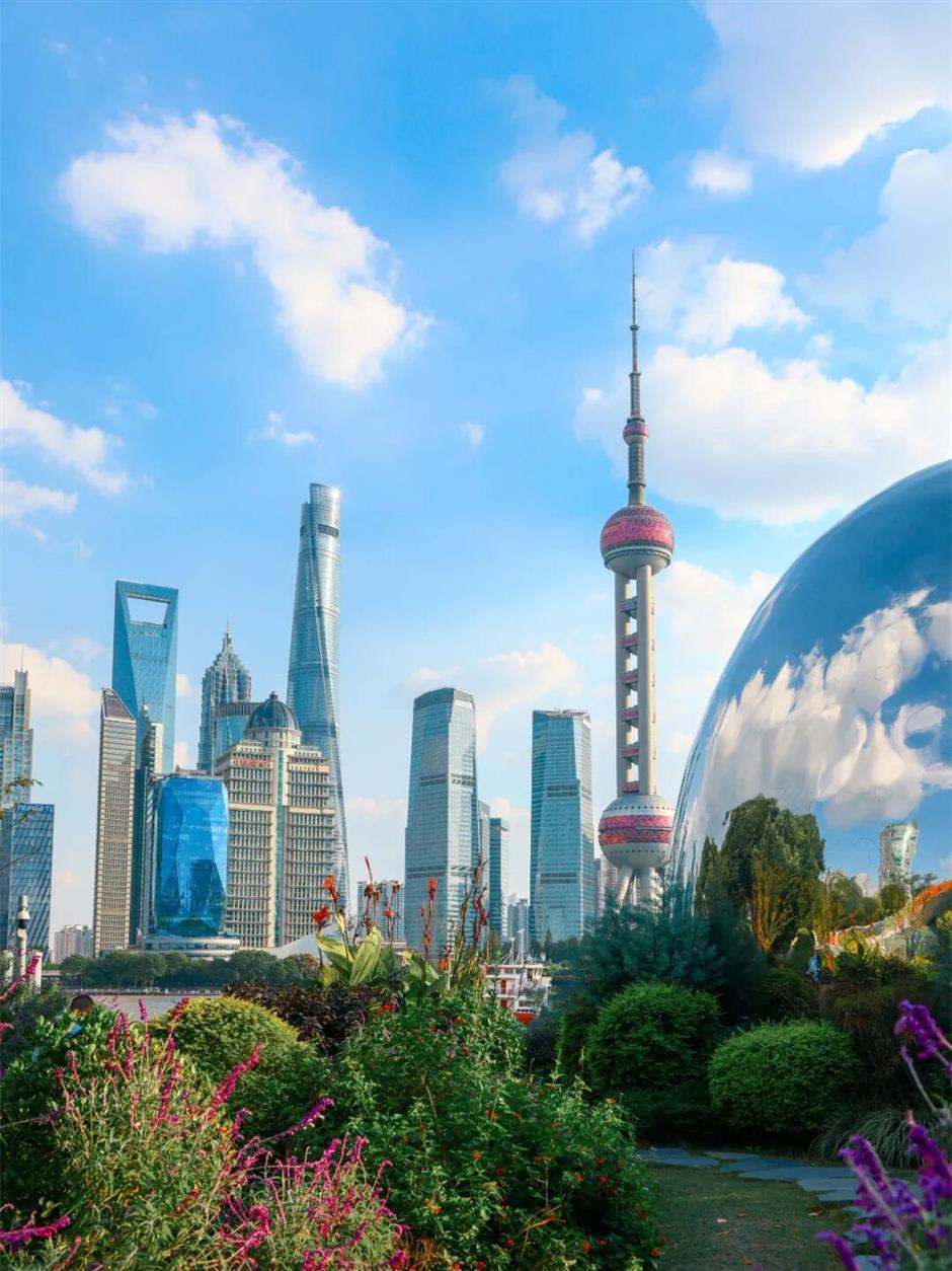 14000株紫罗兰花开成海、首个浦江冰场……魔都冬日顶流