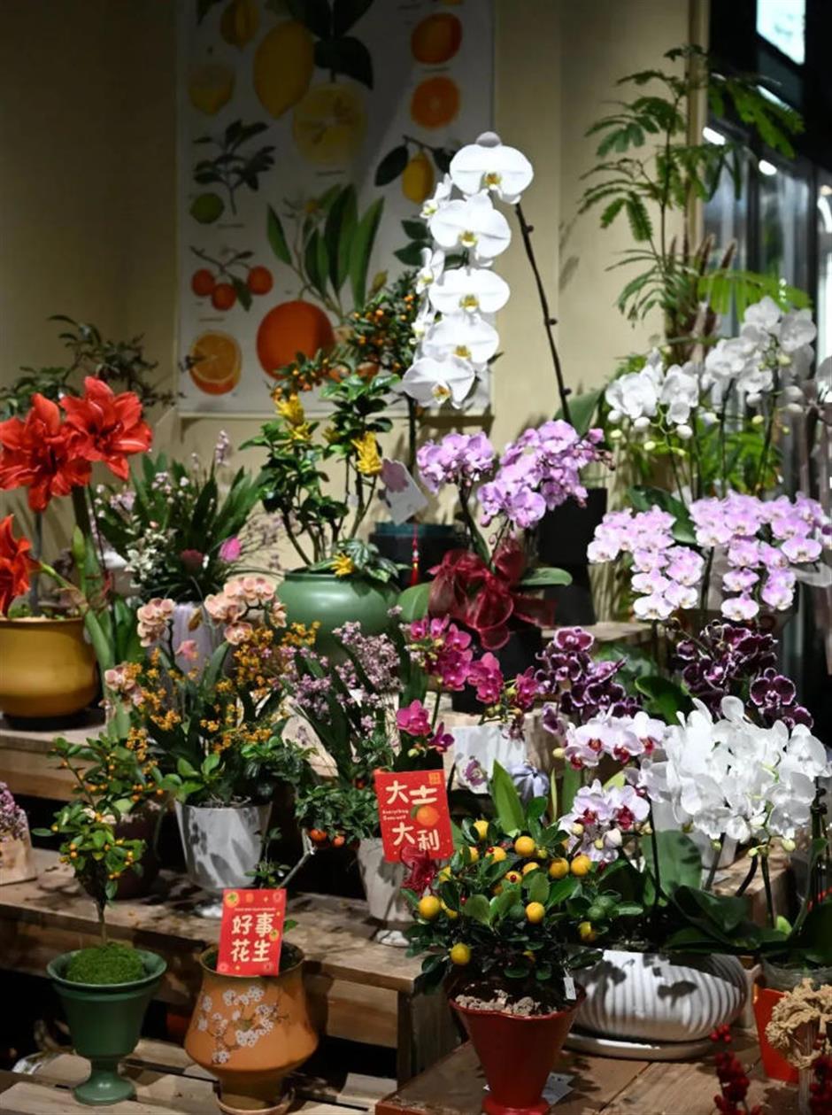 魔都年宵花市,开逛!