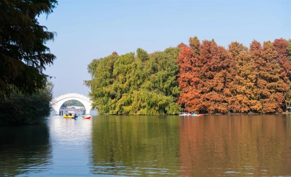 年味新玩法!在上海沪郊开启新春奇遇|旅选上海,超级新春