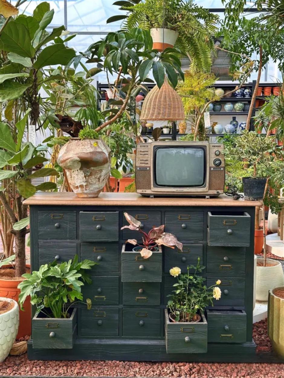 魔都年宵花市,开逛!