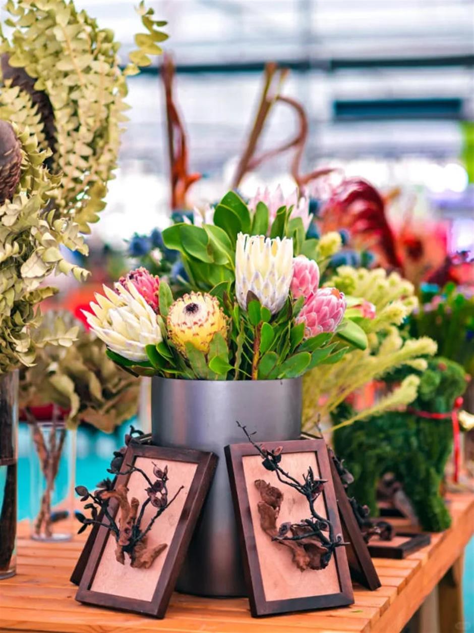 魔都年宵花市,开逛!