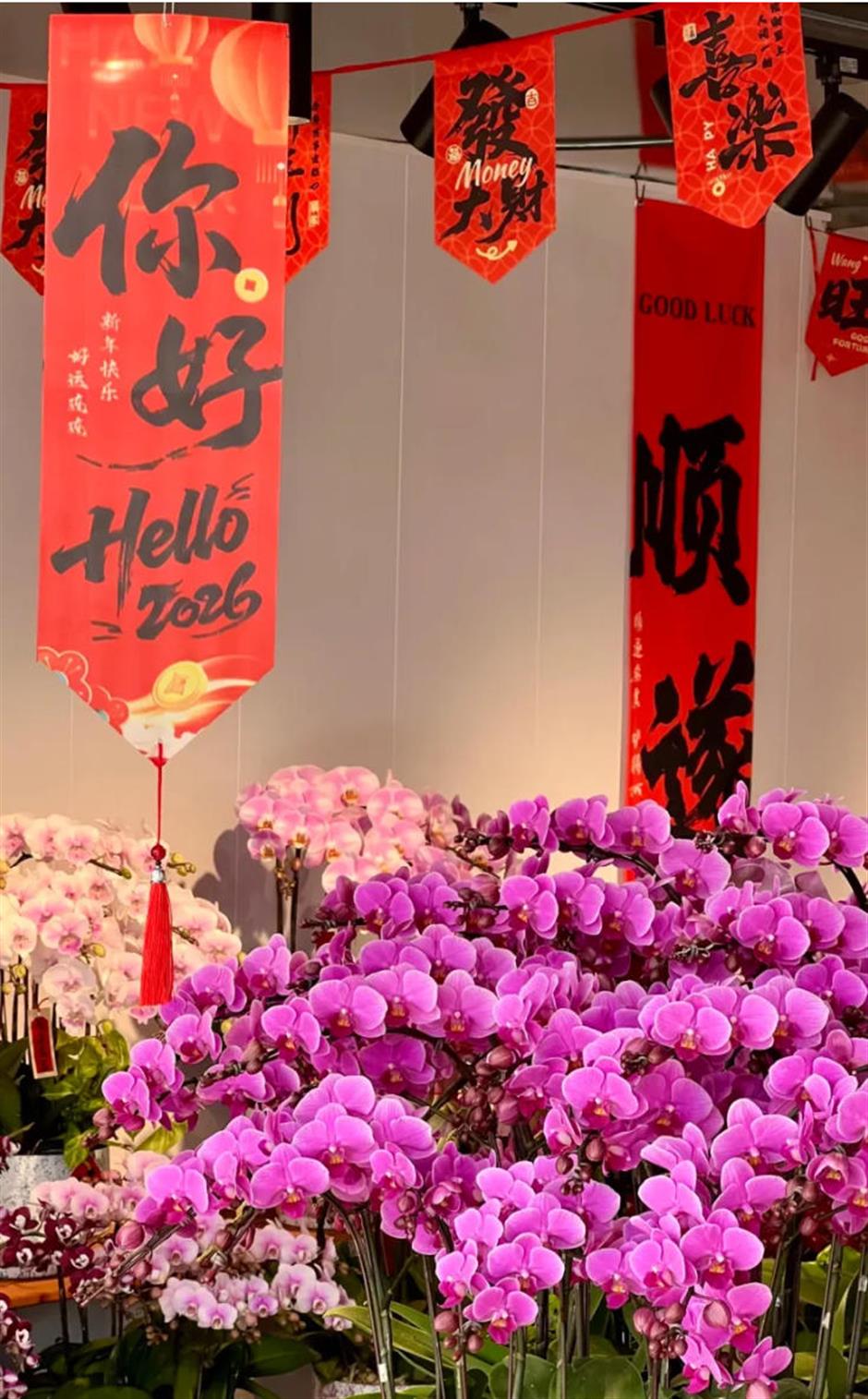 魔都年宵花市,开逛!