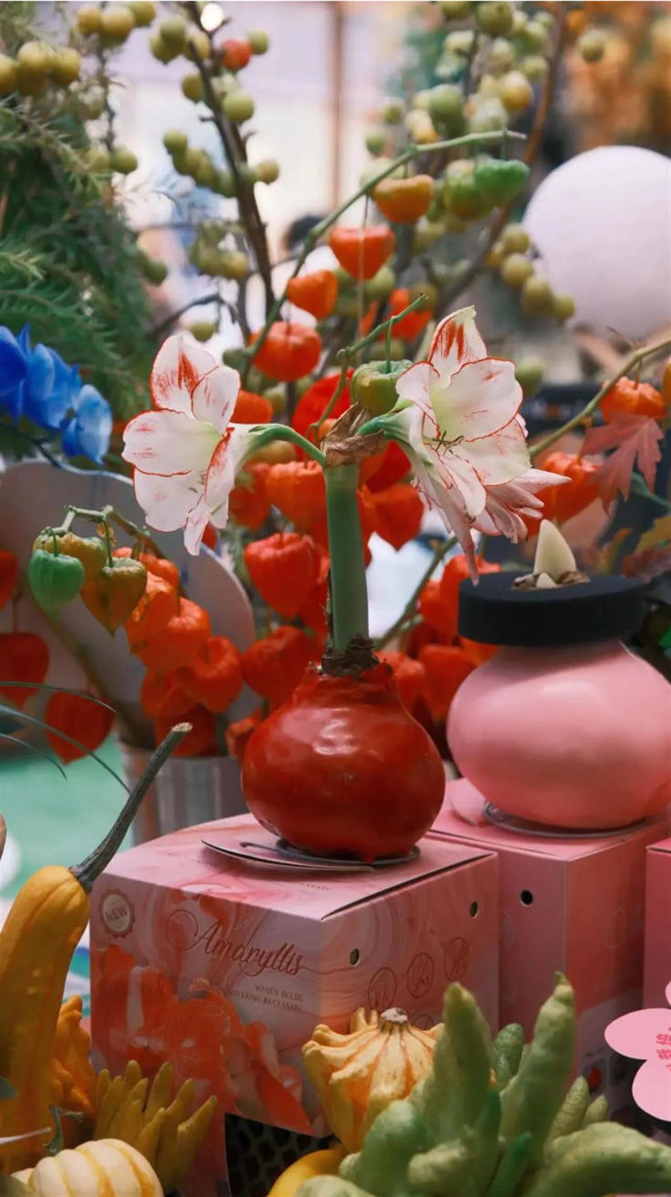 魔都年宵花市,开逛!