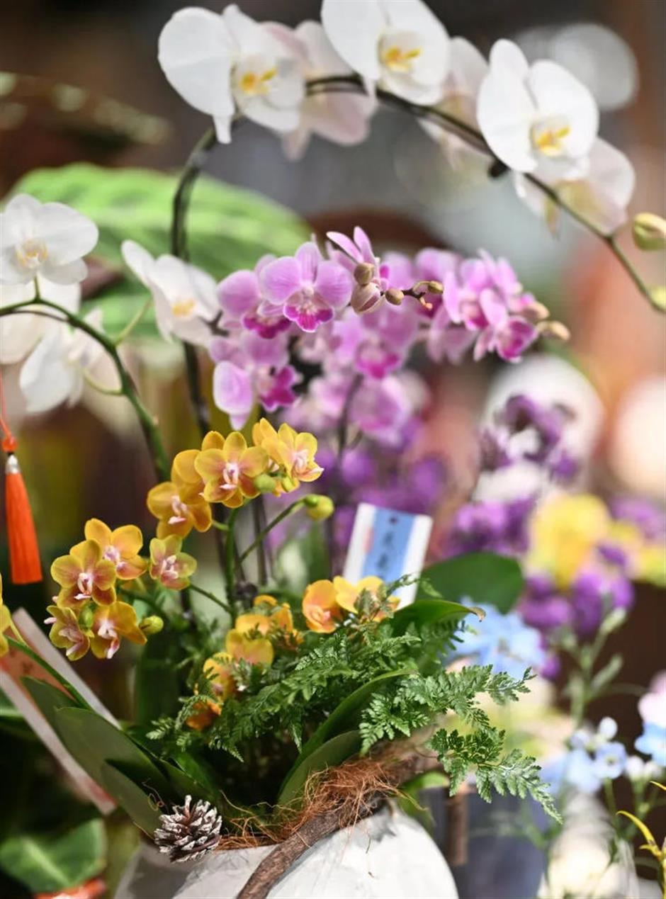 魔都年宵花市,开逛!