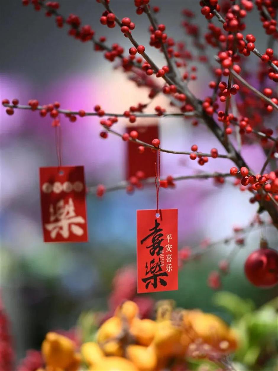 魔都年宵花市,开逛!