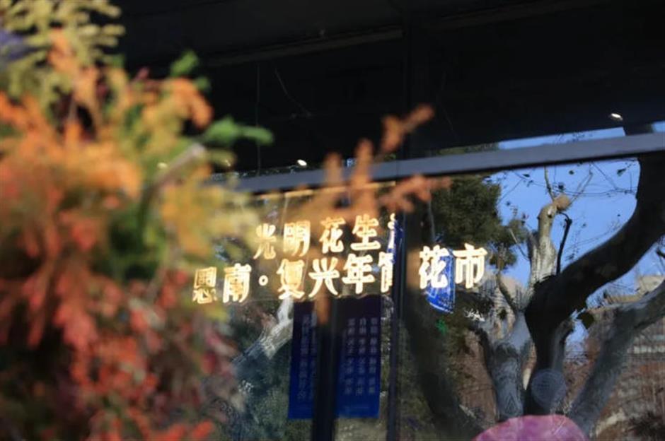 魔都年宵花市,开逛!