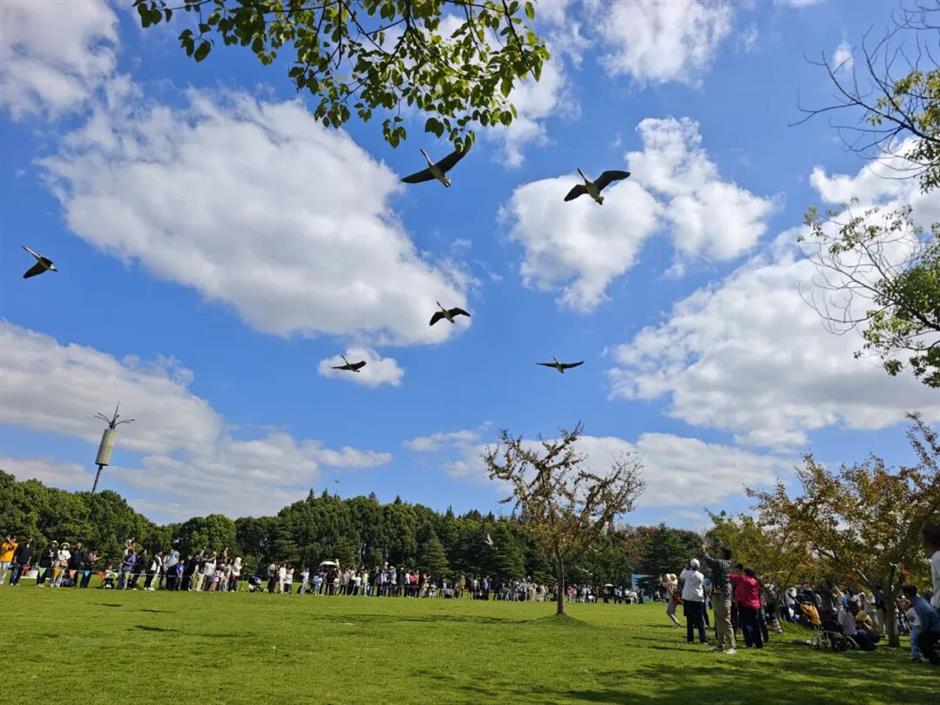 年味新玩法!在上海沪郊开启新春奇遇|旅选上海,超级新春