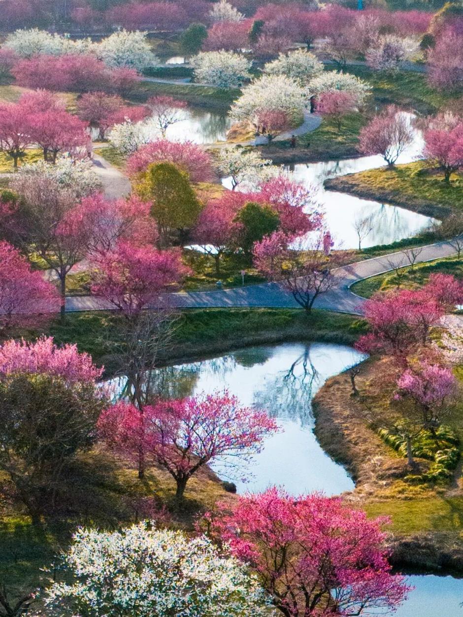 年味新玩法!在上海沪郊开启新春奇遇|旅选上海,超级新春