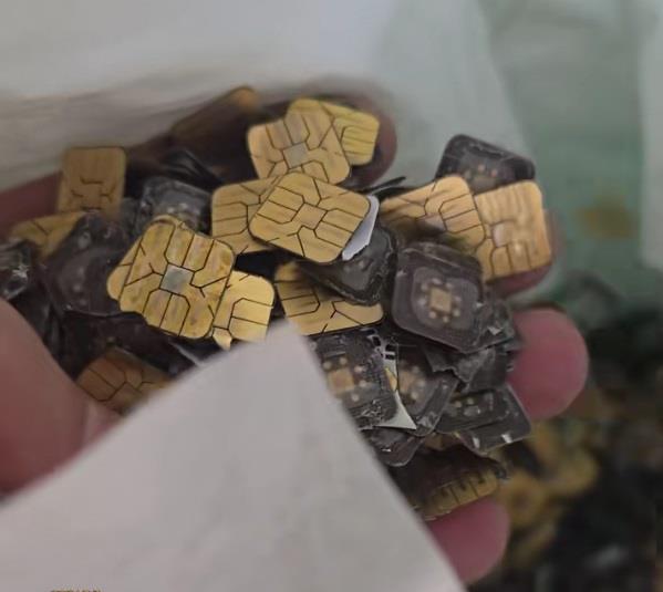 Viral 'SIM Card Gold Rush' Video Sparks Online Frenzy