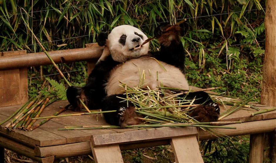 [Weekend Escape] 48 Hours in the Cyberpunk Capital – Chongqing