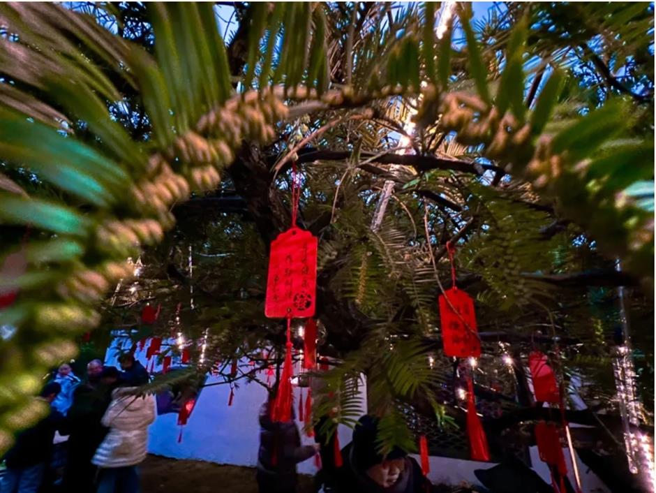 2026马年春节上海灯会必逛清单→|旅选上海,超级新春