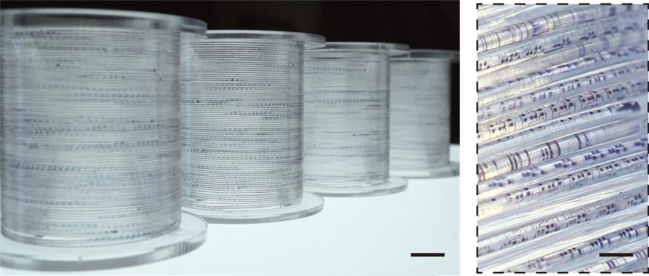 Fudan Researchers Implant IC in Elastic Polymer Fibers