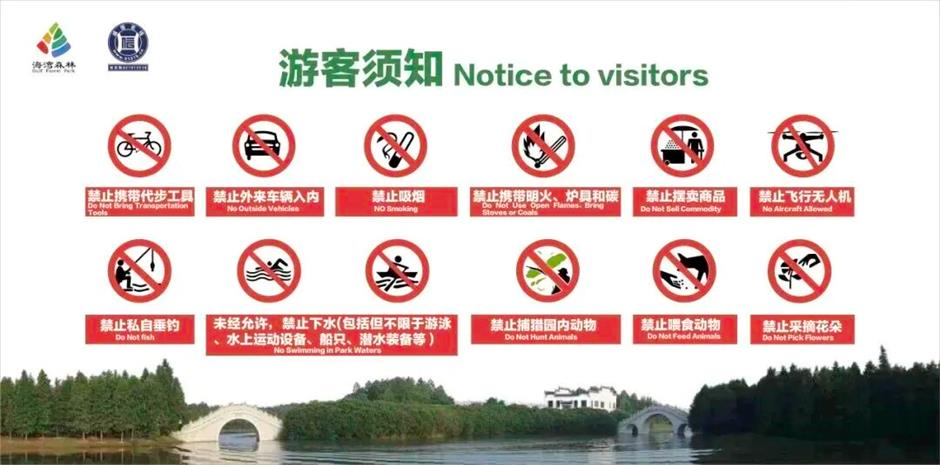 馬上賞梅!海灣國家森林公園梅花節定檔了