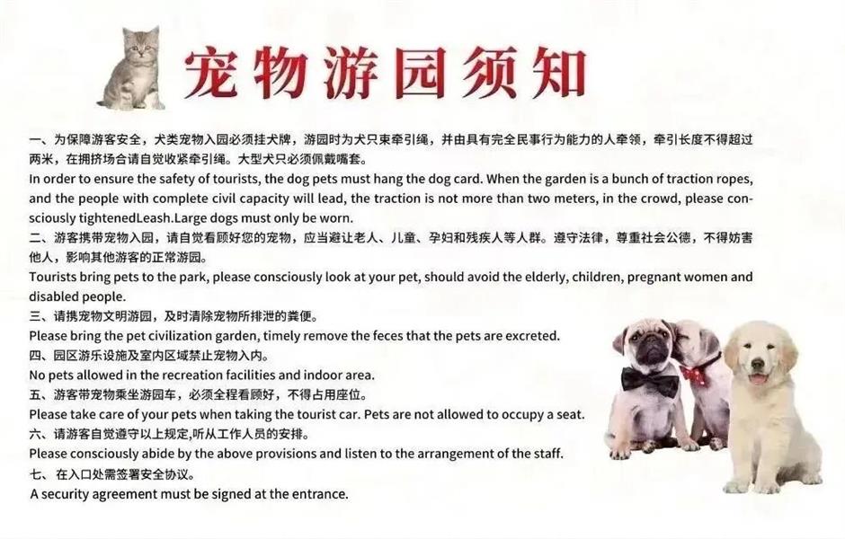 馬上賞梅!海灣國家森林公園梅花節定檔了