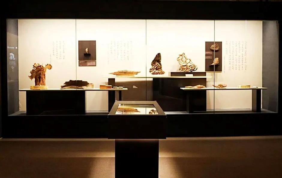 無需預約，免費參觀！兩大新展現已對公眾開放