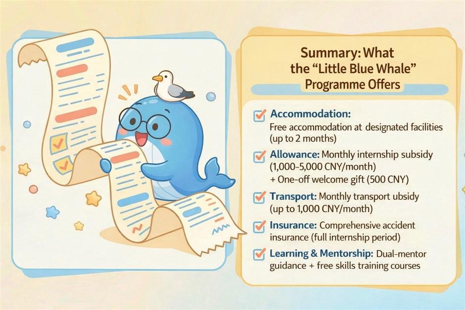 'You Focus on Innovation, We Handle the Backend': Shanghai's Lingang Pitches to Global Startups