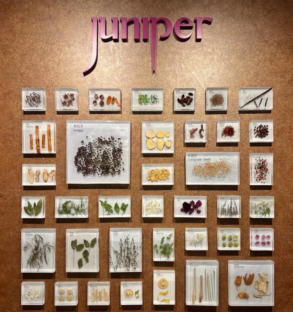 [SH Buzz] Jan Shanghai is POPPING. 13 New Places to Eat & Drink