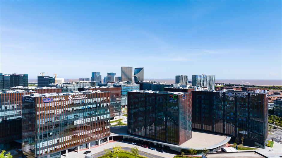 'You Focus on Innovation, We Handle the Backend': Shanghai's Lingang Pitches to Global Startups