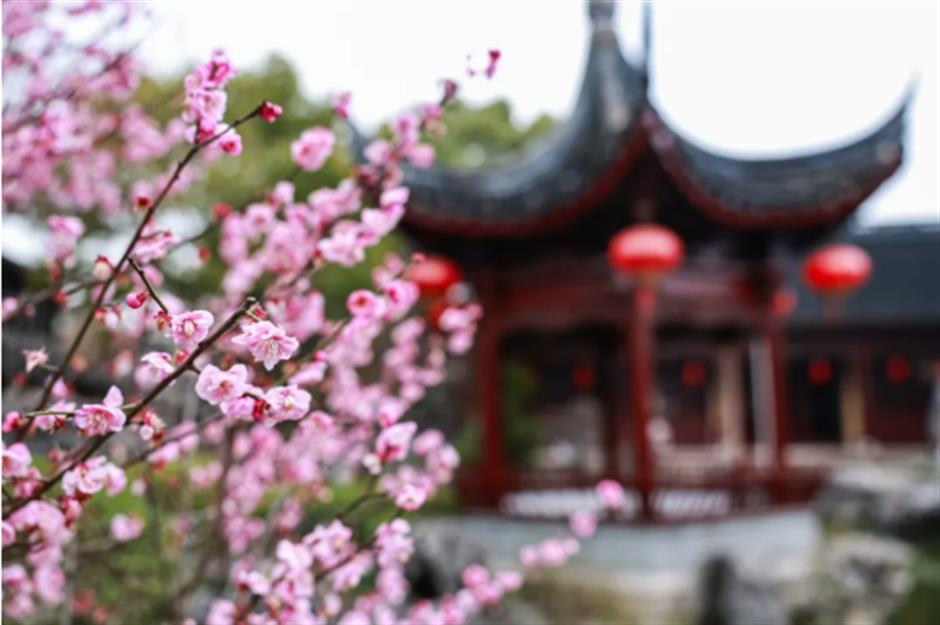 免费游檀园,每日限量100名!