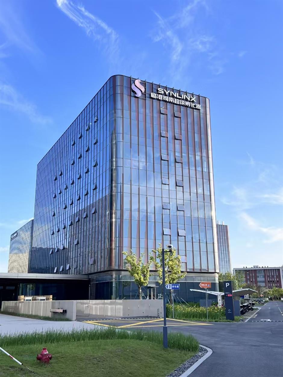 'You Focus on Innovation, We Handle the Backend': Shanghai's Lingang Pitches to Global Startups