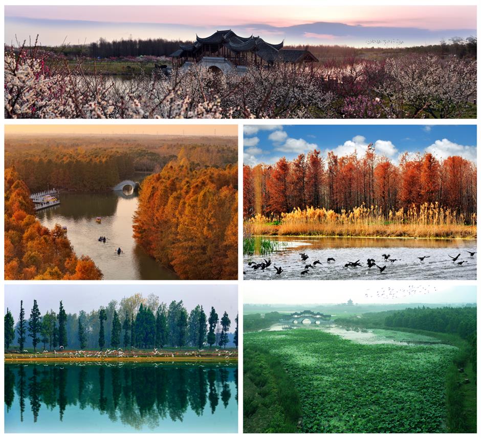 Shanghai Scenic Spots Offer Discounts to Visitors Born in Year of the Horse