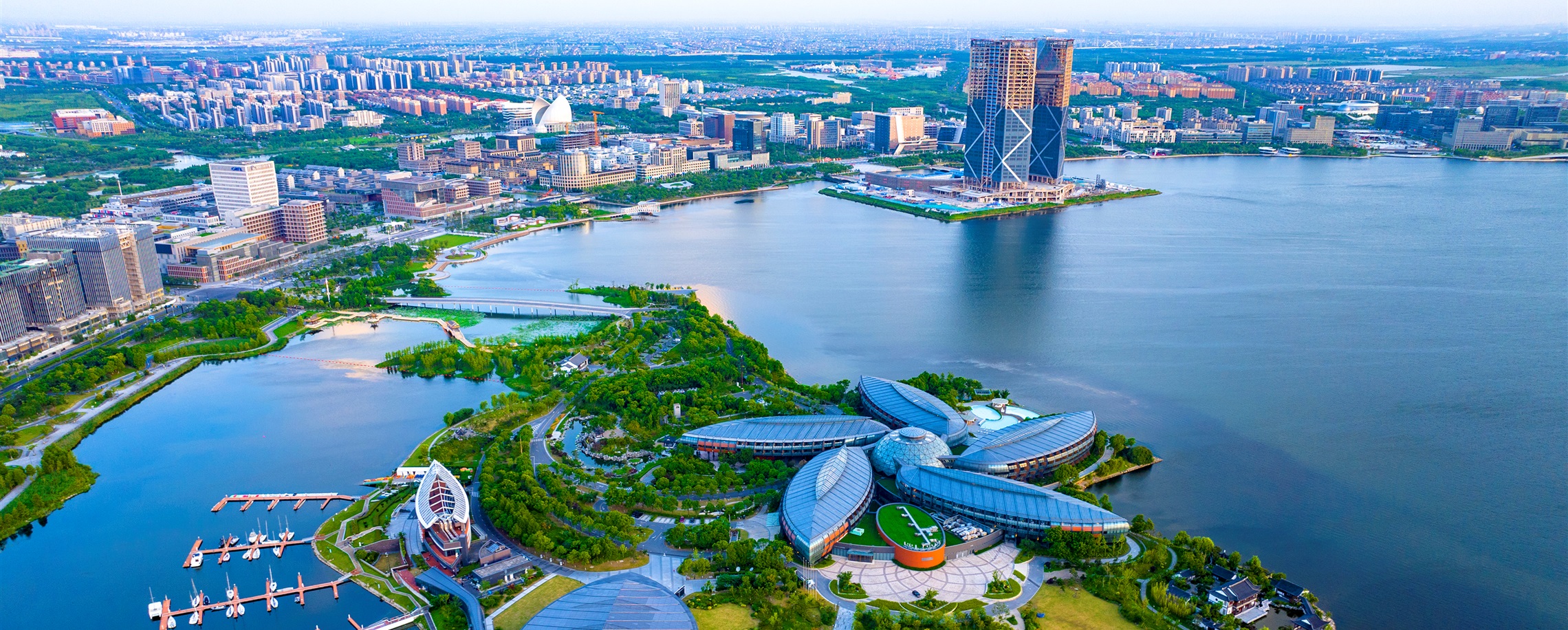 'You Focus on Innovation, We Handle the Backend': Shanghai's Lingang Pitches to Global Startups