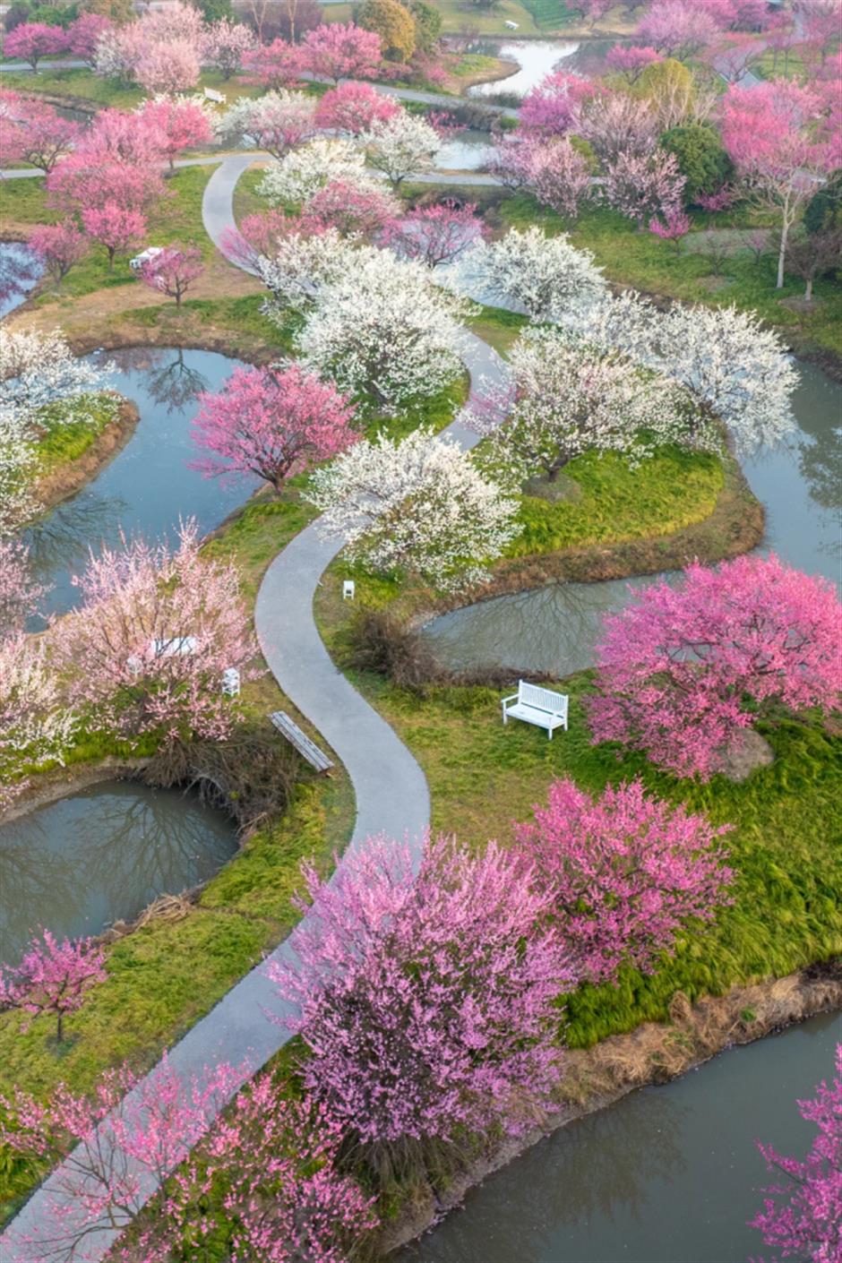 Shanghai Scenic Spots Offer Discounts to Visitors Born in Year of the Horse