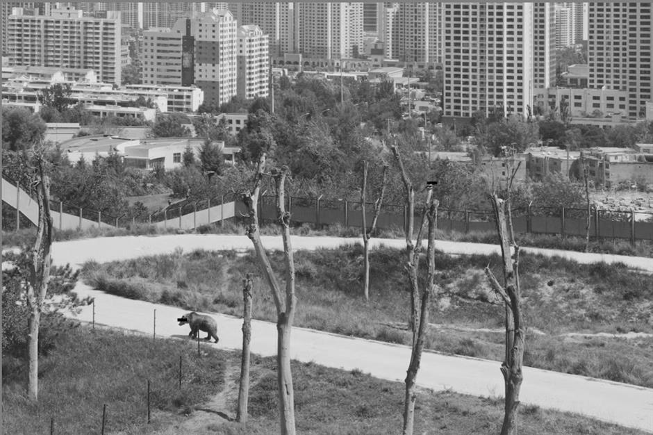 From 'Archeology of Images' to Reconstructed 'Fable Narration'