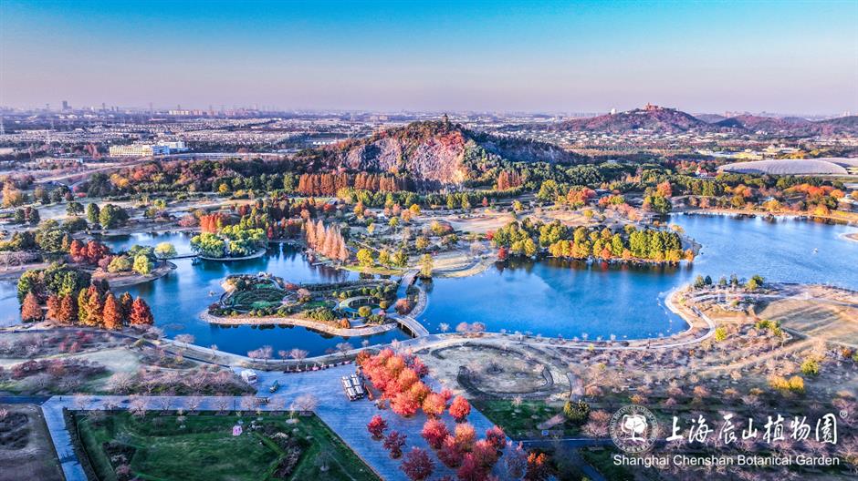 上海景区春节活动清单,新鲜出炉!|旅选上海,超级新春