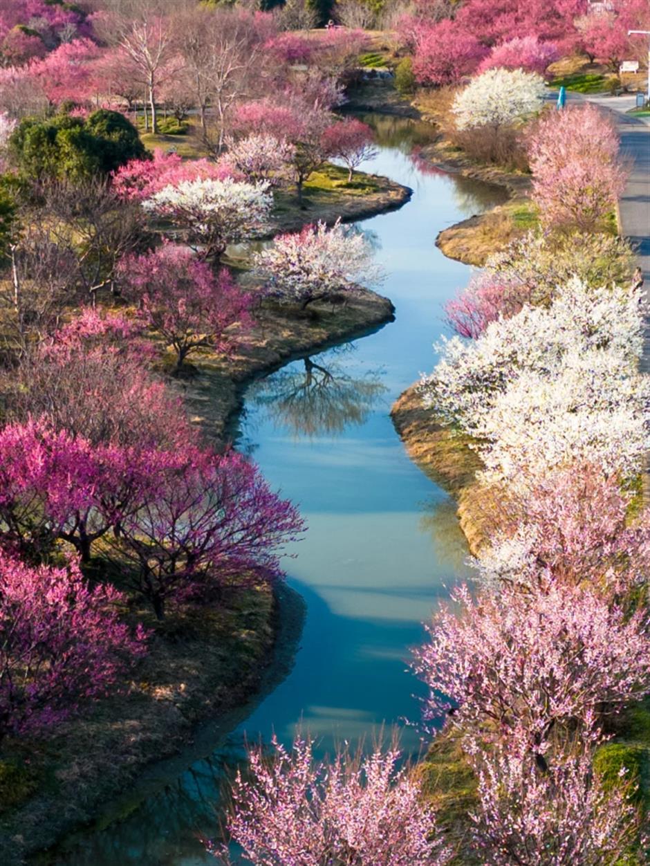 上海景区春节活动清单,新鲜出炉!|旅选上海,超级新春