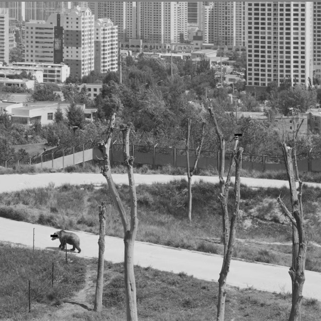 From 'Archeology of Images' to Reconstructed 'Fable Narration'