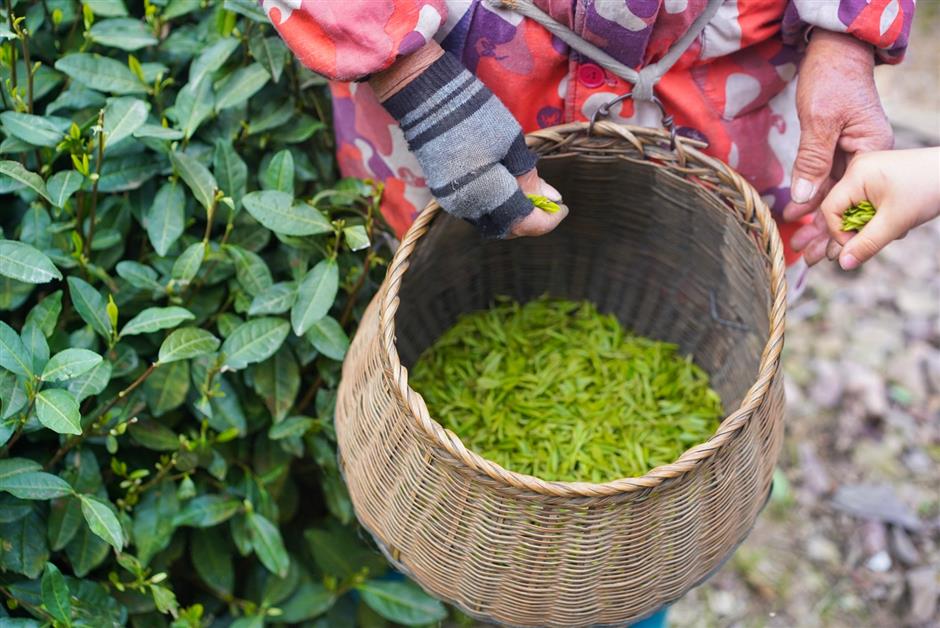 [Weekend Escape] The Guide – What to Do, Eat & See in Hangzhou