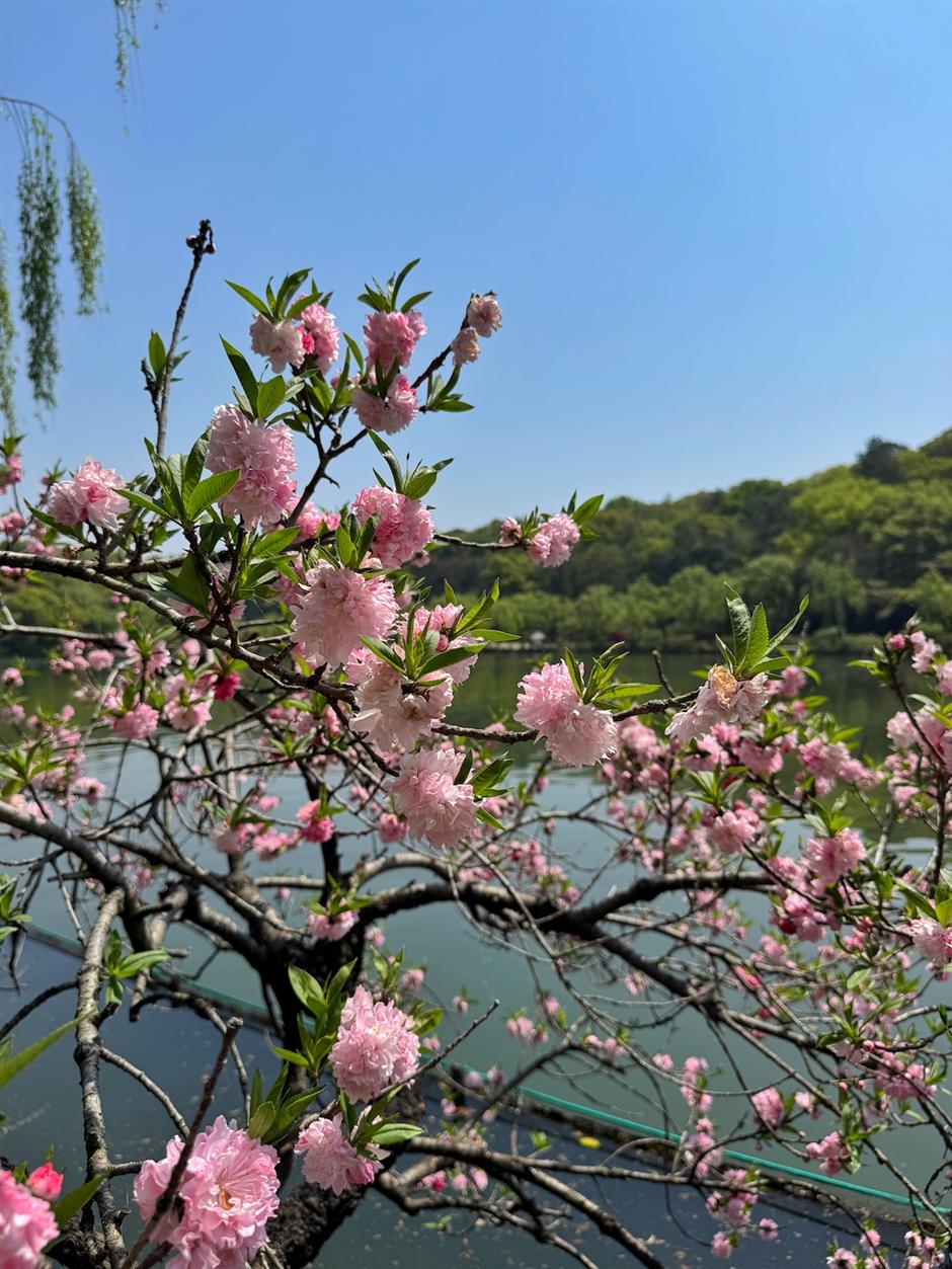 [Weekend Escape] The Guide – What to Do, Eat & See in Hangzhou