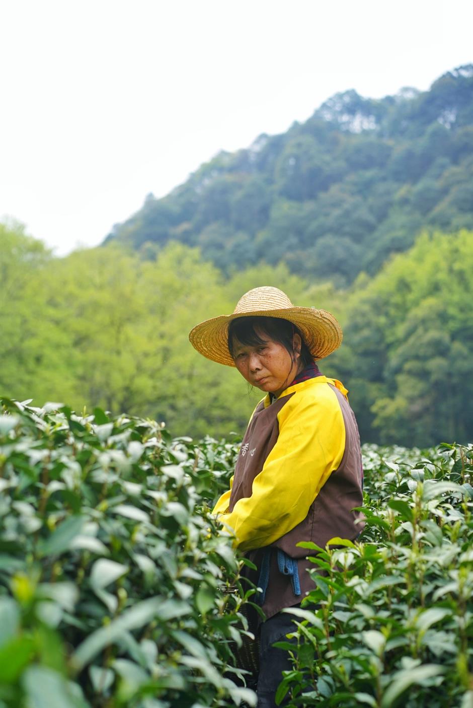 [Weekend Escape] The Guide – What to Do, Eat & See in Hangzhou