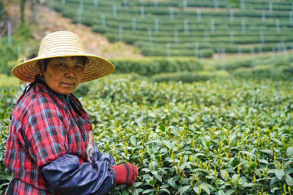[Weekend Escape] The Guide – What to Do, Eat & See in Hangzhou