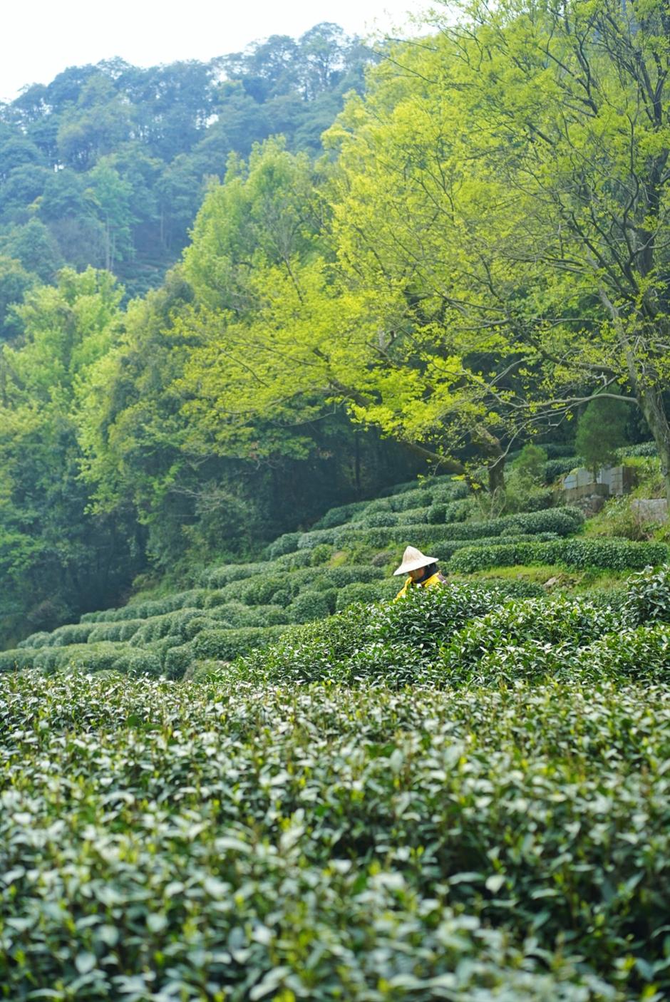 [Weekend Escape] The Guide – What to Do, Eat & See in Hangzhou