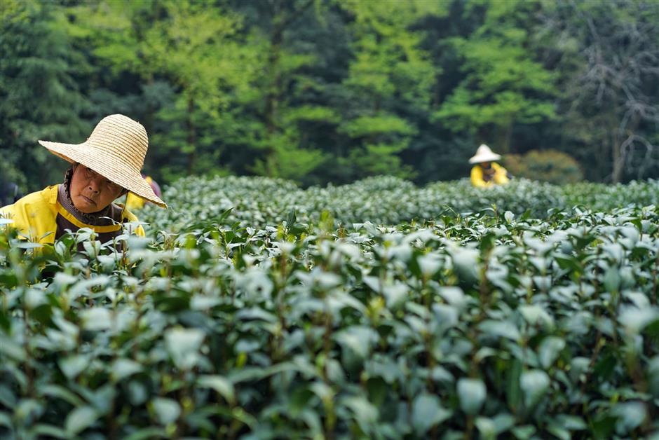[Weekend Escape] The Guide – What to Do, Eat & See in Hangzhou