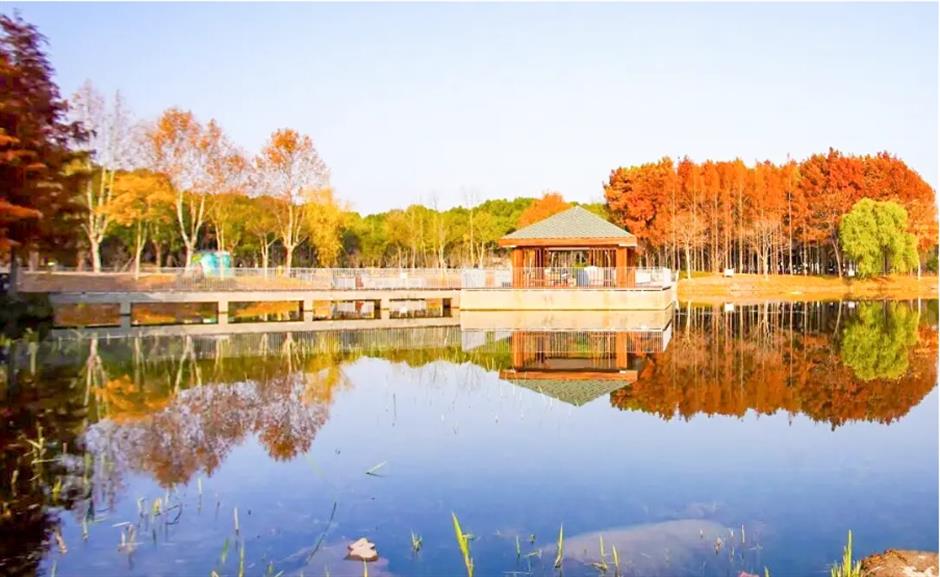 好莱坞影后来了、一波免费新展、上海新春文博美术联票开售......一周文旅生活