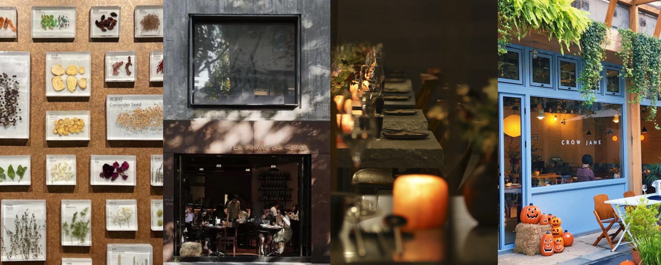 [SH Buzz] Jan Shanghai is POPPING. 13 New Places to Eat & Drink