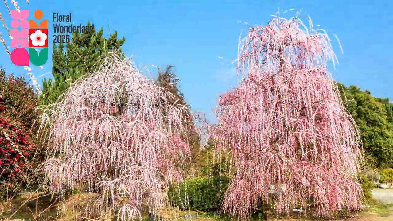 Floral Wonderland: A Flower Show, Art Walk & Weekend Hangout