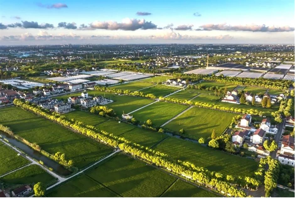 第三批上海市级乡村旅游重点村名单公布