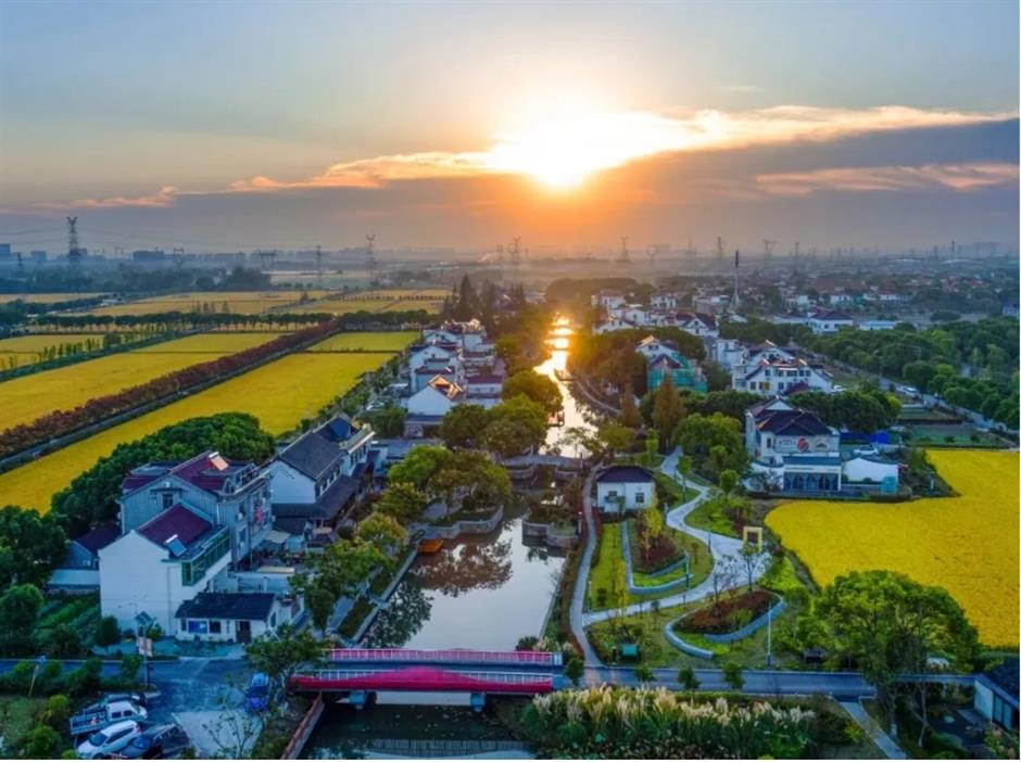 第三批上海市级乡村旅游重点村名单公布