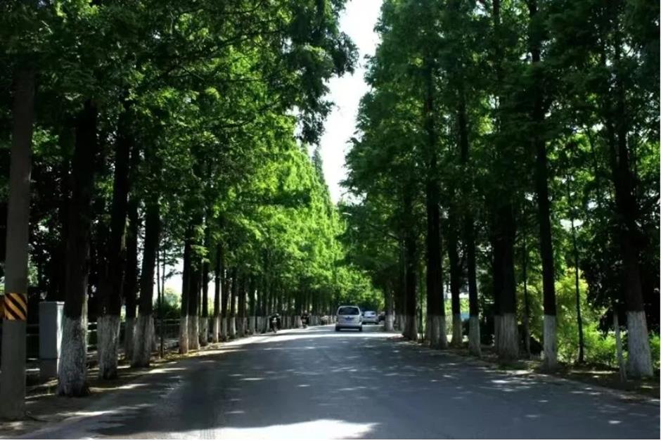 第三批上海市级乡村旅游重点村名单公布