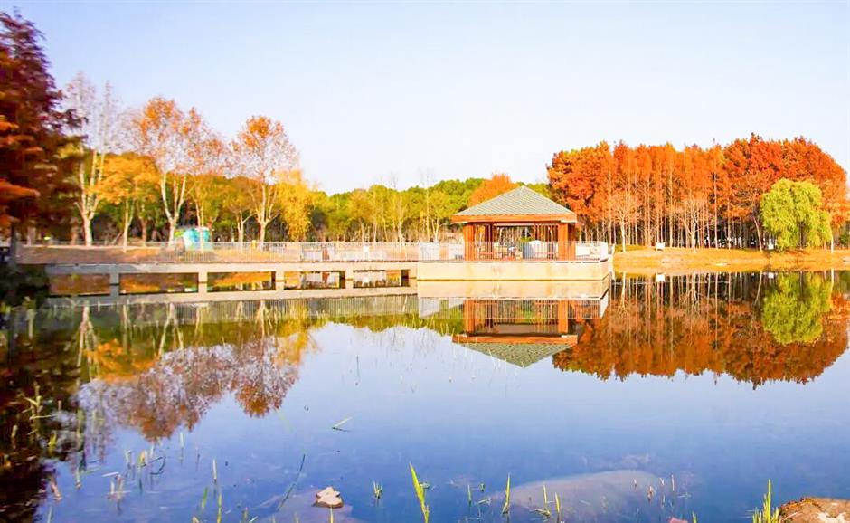 上新啦!上海一波地标升级,玩点不一样的!