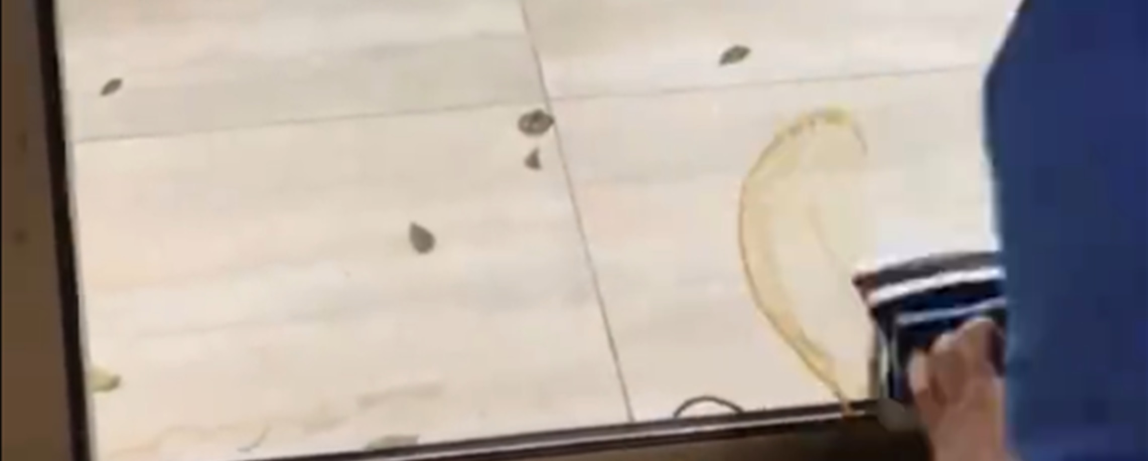 Shanghai Domestic Worker Goes Viral With AI Cleaning Tips