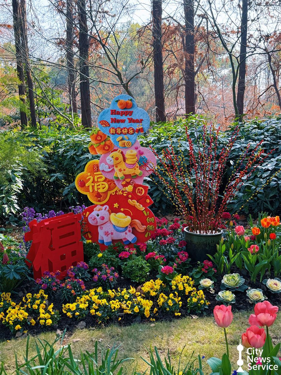 New Year Festivities: Blooming Flowers, Light Shows and Celebrations